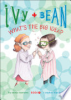 Ivy_and_Bean_What_s_the_Big_Idea_____7