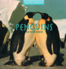 Penguins_and_their_homes