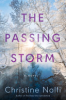 The_passing_storm