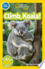 Climb__koala_