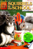 Squirrels_in_the_school