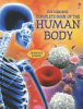 The_Usborne_Complete_Book_of_the_Human_Body