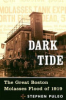 Dark_Tide__The_Great_Boston_Molasses_Flood_of_1919