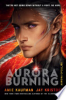 Aurora_Burning