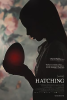 Hatching__