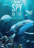 Spy_in_the_ocean