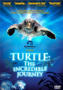 Turtle__The_Incredible_Journey__videorecording_