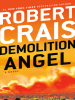 Demolition_Angel