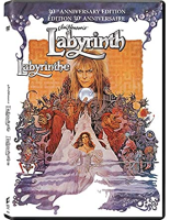 Labyrinth__videorecording_