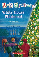 White_House_white-out