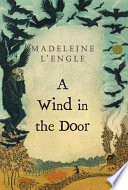 A_wind_in_the_door
