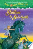 Stallion_by_Starlight__Magic_Tree_House___49