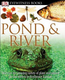 Pond___River
