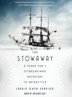 The_stowaway